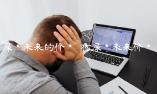 屎币未来的价值