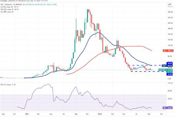 sol币今日最新价格 索拉纳币最新行情消息-第2张图片-欧意下载