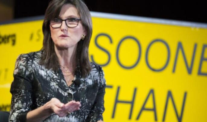 简单阐述华尔街女股神为什么坚定看多比特币?1