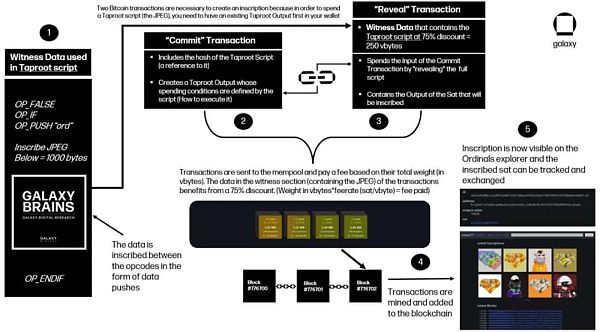 万字报告详解比特币 NFT 及其前景-第5张图片-欧意下载
