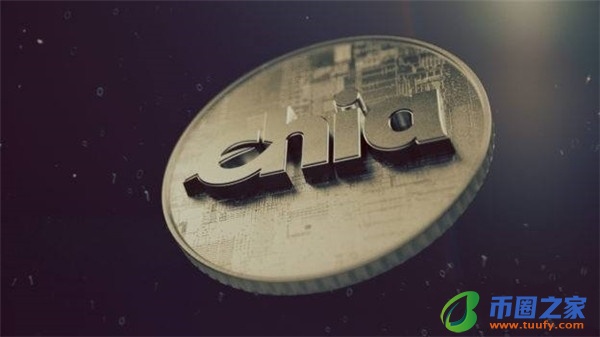 派币它真的值超过 300,000 美元吗？-第1张图片-欧意下载