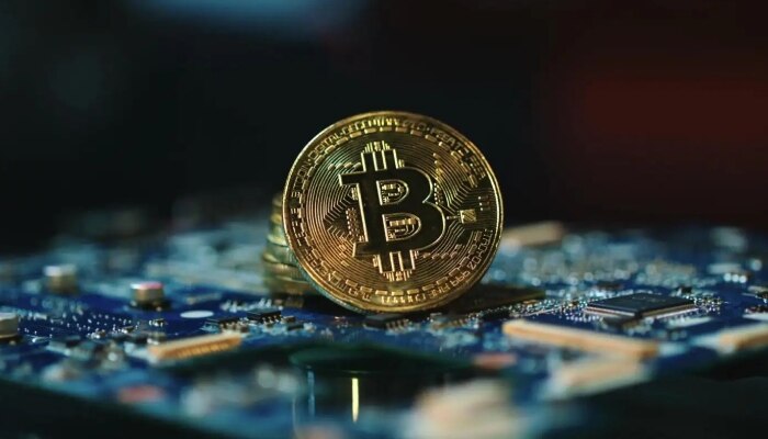 维卡币会成功吗 – 维卡币会不会成功-第1张图片-欧意下载