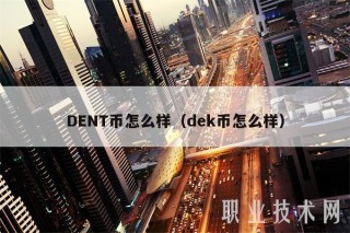DNT币怎么样（dk币怎么样）