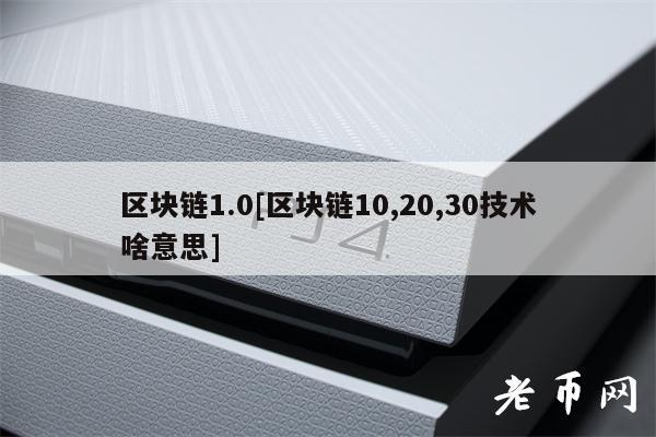 区块链1.0[区块链10,20,30技术啥意思]-第1张图片-欧意下载