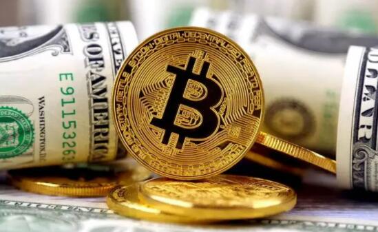 PIG最新消息(pi币重磅消息)-第1张图片-欧意下载