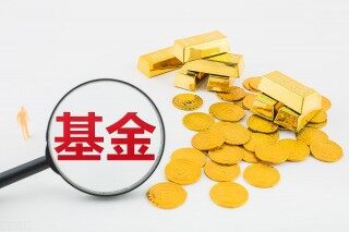 从零开始学基金（从零开始学基金pdf下载）