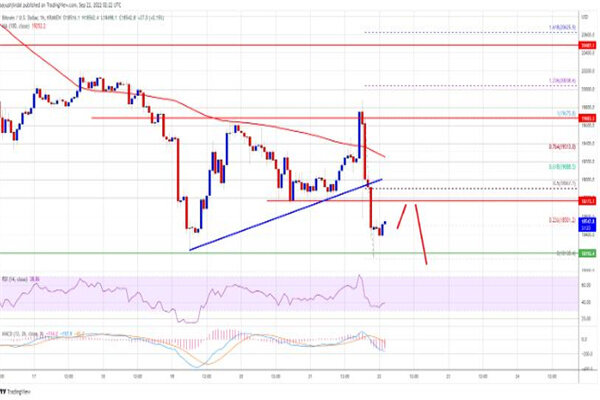 比特币今日最新价格是多少 BTC今日最新行情消息-第2张图片-欧意下载 比特币今日最新价格是多少 BTC今日最新行情消息-第2张图片-欧意下载
