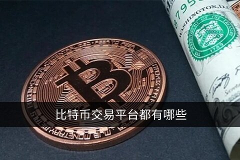 比特币交易平台都有哪些 怎么买比特币一文看懂！-第1张图片-欧意下载