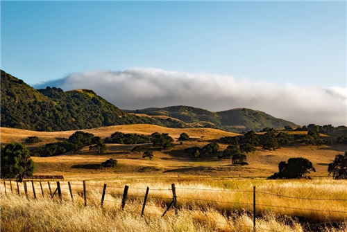 蔡文胜相关地址昨日以来已将3800枚ETH转入BIAN-第1张图片-欧意下载 蔡文胜相关地址昨日以来已将3800枚ETH转入BIAN-第1张图片-欧意下载