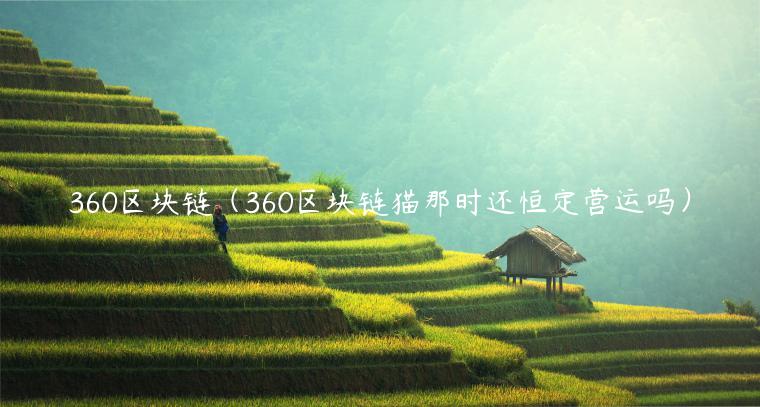 360区块链（360区块链猫那时还恒定营运吗）-第1张图片-欧意下载