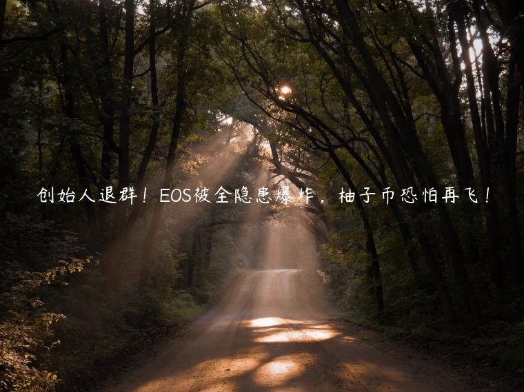 创始人退群!OS被全隐患爆炸,柚子币恐怕再飞!-第1张图片-欧意下载 创始人退群!OS被全隐患爆炸,柚子币恐怕再飞!-第1张图片-欧意下载