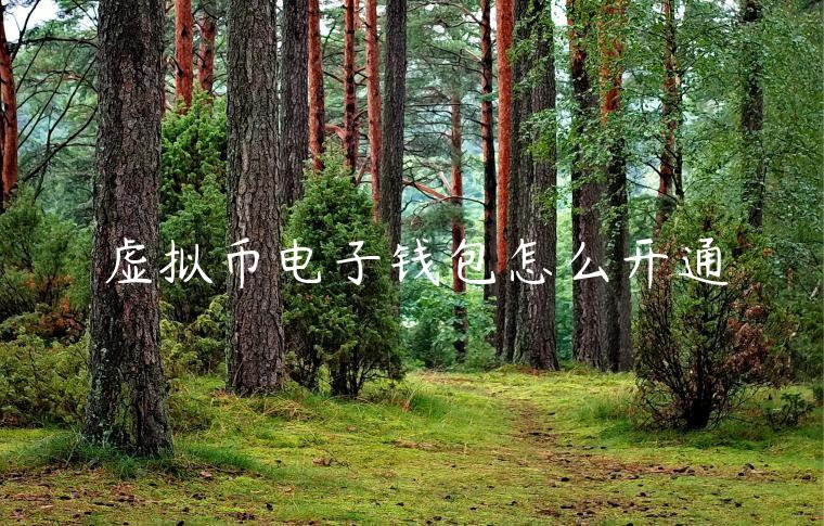 虚拟币电子钱包怎么开通-第1张图片-欧意下载