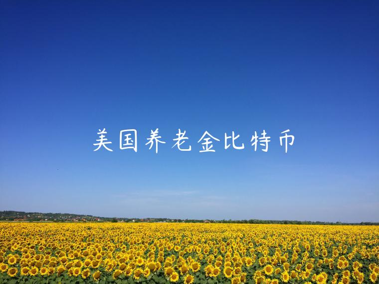 美国养老金比特币-第1张图片-欧意下载