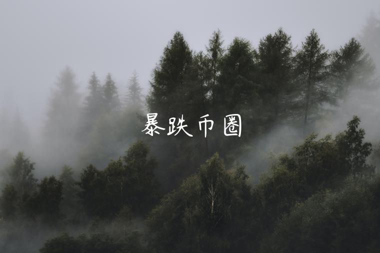 暴跌币圈-第1张图片-欧意下载 暴跌币圈-第1张图片-欧意下载