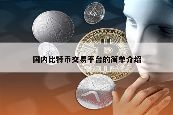 国内比特币交易平台哪些好 国内数字货币交易平台哪些比较安全-第1张图片-欧意下载 国内比特币交易平台哪些好 国内数字货币交易平台哪些比较安全-第1张图片-欧意下载