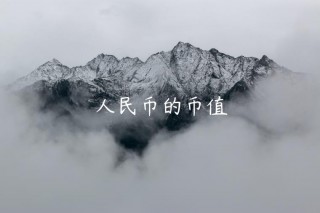 人民币的币值