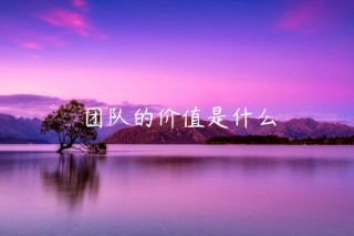 团队的价值是什么