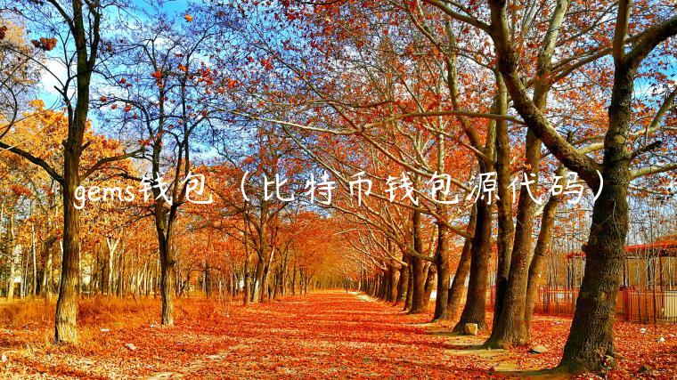 gms钱包（比特币钱包源代码）-第1张图片-欧意下载