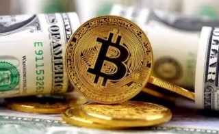 货币交易平台app下载|数字平台有哪些