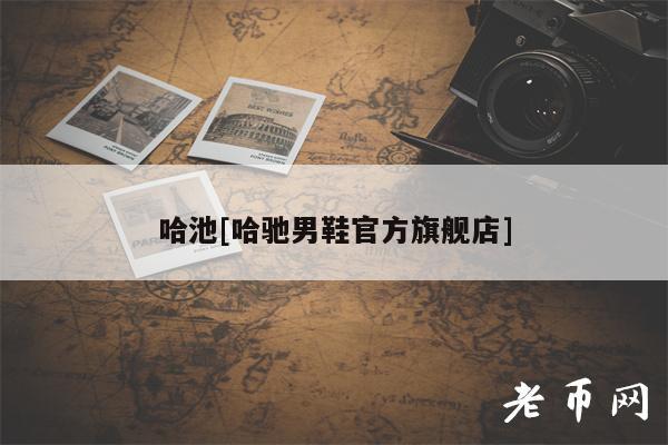 哈池[哈驰男鞋官方旗舰店]-第1张图片-欧意下载