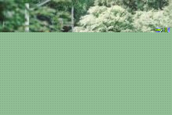 以太坊价格热（以太坊最新价格及行情）-第1张图片-欧意下载