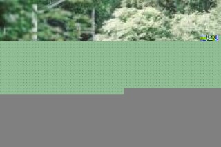 以太坊价格热（以太坊最新价格及行情）