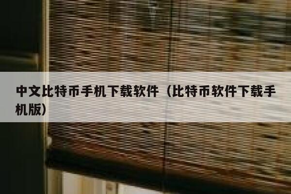 中文比特币手机下载软件（比特币软件下载手机版）-第1张图片-欧意下载
