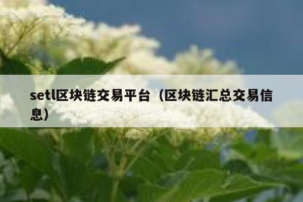 stl区块链交易平台（区块链汇总交易信息）-第1张图片-欧意下载