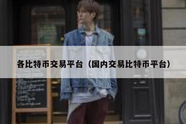 各比特币交易平台（国内交易比特币平台）-第1张图片-欧意下载