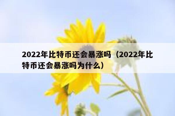 2022年比特币还会暴涨吗（2022年比特币还会暴涨吗为什么）-第1张图片-欧意下载