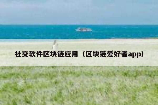 社交软件区块链应用（区块链爱好者app）-第1张图片-欧意下载