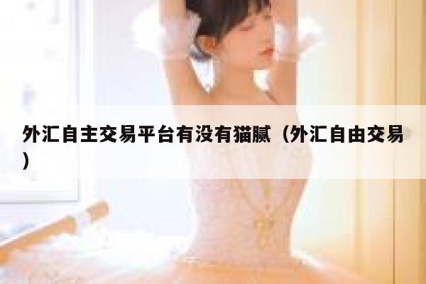 外汇自主交易平台有没有猫腻（外汇自由交易）-第1张图片-欧意下载