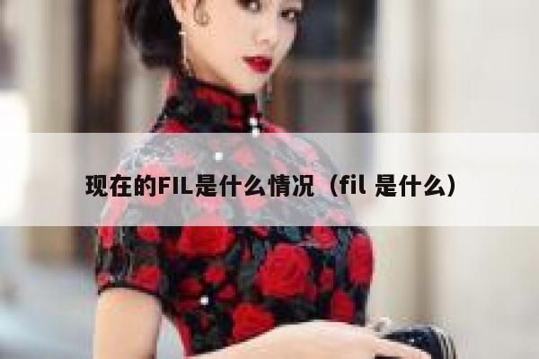 现在的FIL是什么情况（fil 是什么）-第1张图片-欧意下载