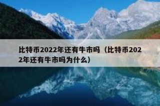 比特币2022年还有牛市吗（比特币2022年还有牛市吗为什么）