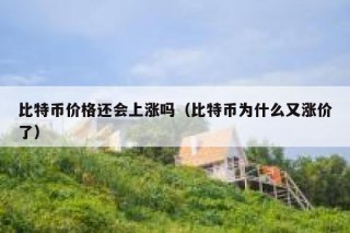 比特币价格还会上涨吗（比特币为什么又涨价了）