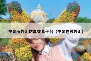 中金所外汇仿真交易平台（中金在线外汇）