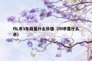 flL币3年后是什么价值（fil币是什么币）