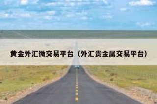 黄金外汇微交易平台（外汇贵金属交易平台）