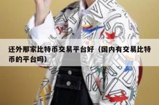 还外那家比特币交易平台好（国内有交易比特币的平台吗）