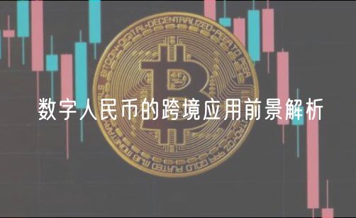 数字人民币的跨境应用前景解析-第1张图片-欧意下载