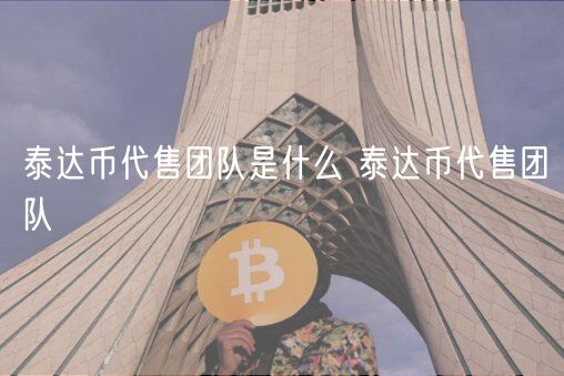 泰达币代售团队是什么 泰达币代售团队-第1张图片-欧意下载
