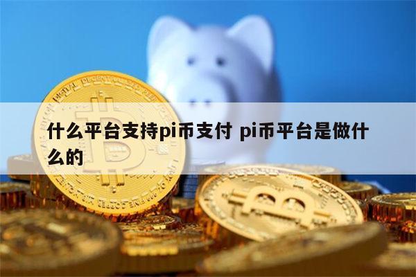 什么平台可以pi币支付 pi币平台是做干嘛的-第1张图片-欧意下载