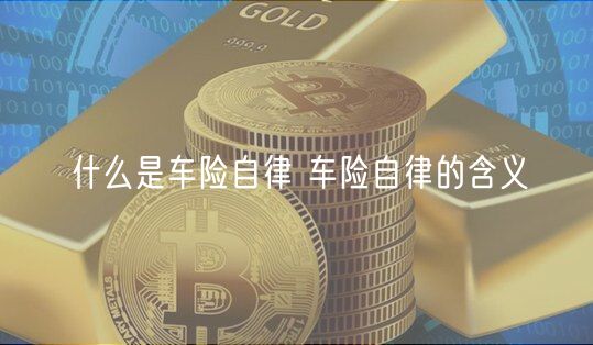 什么是车险自律 车险自律的含义-第1张图片-欧意下载
