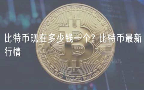 比特币现在多少钱一个? 比特币最新行情-第1张图片-欧意下载