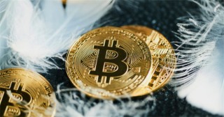 RBN币今日最新价格行情