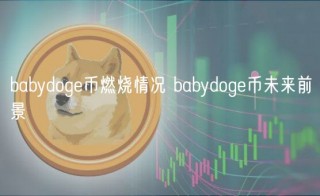 babydog币燃烧情况 babydog币未来前景