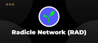 RAD币今日最新价格行情