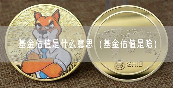 基金估值是什么意思（基金估值是啥）-第1张图片-欧意下载