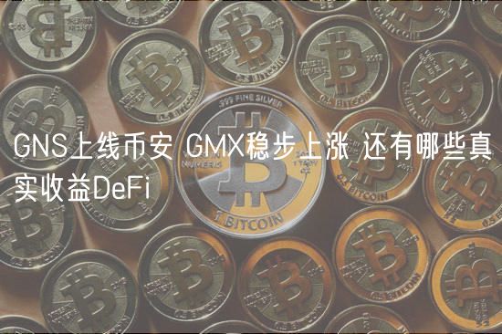 GNS上线BIAN GMX稳步上涨 还有哪些真实收益DeFi-第1张图片-欧意下载