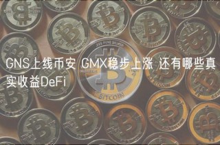 GNS上线BIAN GM稳步上涨 还有哪些真实收益DFi